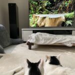 12月のご報告とお礼