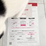 【ミニマリストおすすめ格安携帯】楽天モバイル「最強プラン」乗り換えはいつから?乗り換え体験記