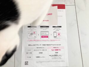 【ミニマリストおすすめ格安携帯】楽天モバイル「最強プラン」乗り換えはいつから？乗り換え体験記