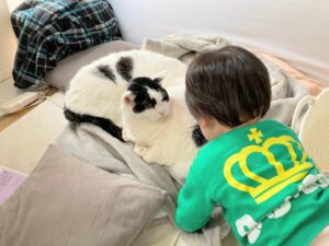 子ども（赤ちゃん）と猫のストレス少なめの暮らしをめざした記録■２年間のふれあいを振り返る