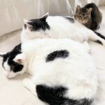 3月分アフィリエイトのご報告とお礼