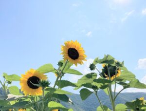 亡き弟の誕生日