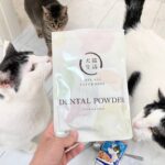 うちのシニア猫の歯肉炎対策に◎犬猫生活のマウスケアサプリ「デンタルふりかけ」を再開しました