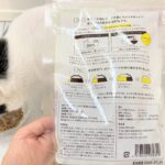 犬猫生活のキャットフードは解約できない!?評判は?我が家の体験談をお伝えします