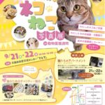 長野県千曲市の「千曲ねこの会」◆9月写真展開催のお知らせ