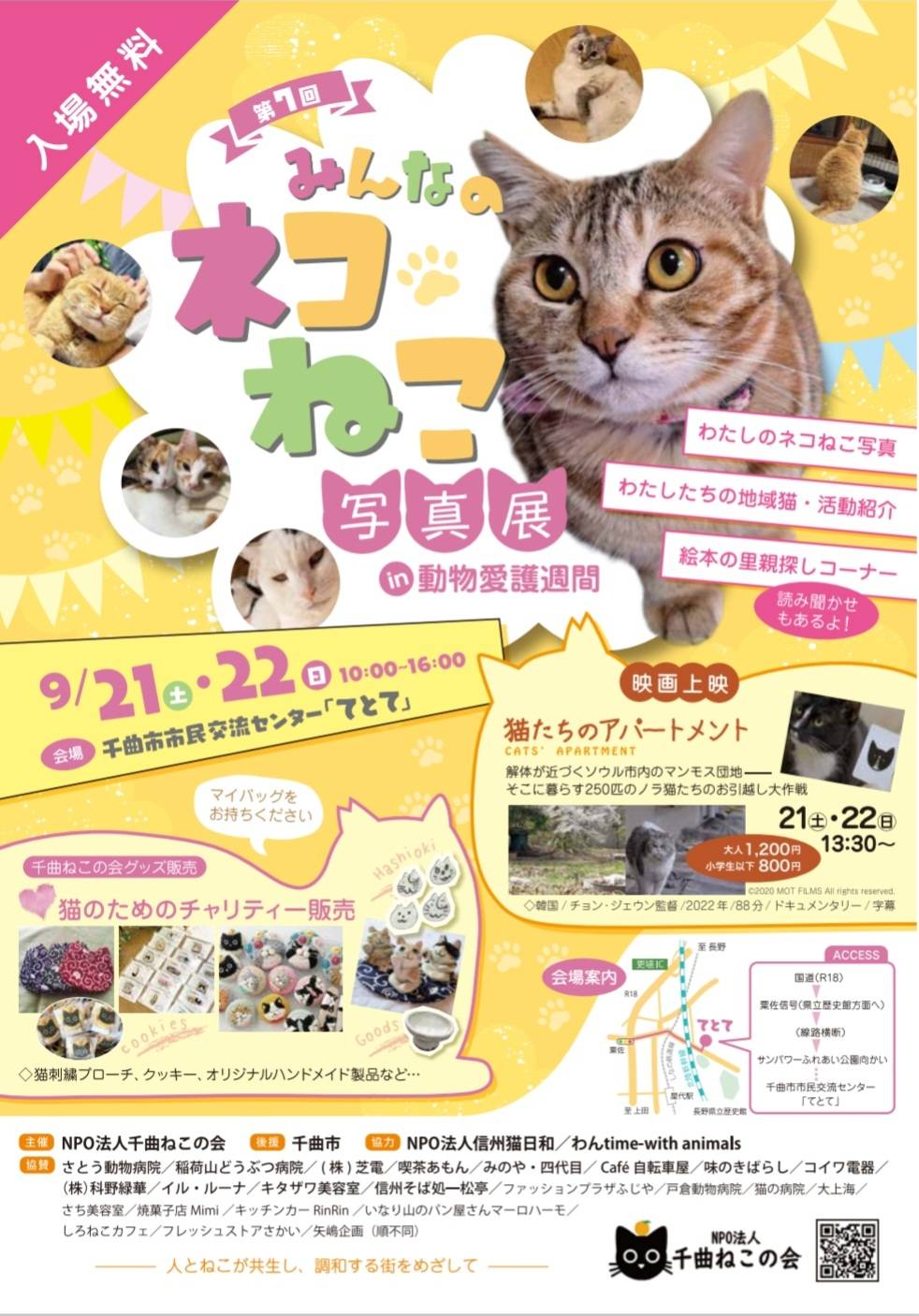 長野県千曲市の「千曲ねこの会」◆9月写真展開催のお知らせ