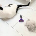 【猫飼いミニマリスト】今年もファーミネーターで抜け毛一掃【短毛でぶ猫】