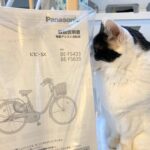 パナソニックの電動自転車ビビSXの評判をよく確認せず購入・使ってみた感想