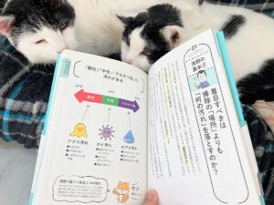 【ミニマリストの持ち物】掃除の風水効果!?ユーチューバーきよきよさんの本を読んで掃除で臨時収入【閲覧注意画像あり】