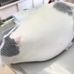 でぶねこ×13歳のシニア兄弟猫の予防接種と健康のこと