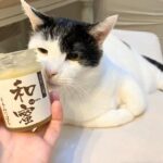 子どもの咳・鼻水が治らない⇒1回の通院で治って感動した話