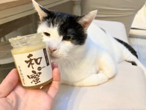 子どもの咳・鼻水が治らない⇒1回の通院で治って感動した話