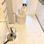 2025上半期「家事ラク＆体ラク＆快適」を叶えたズボラ主婦の救世主アイテム