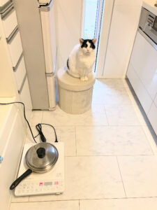 2025上半期「家事ラク＆体ラク＆快適」を叶えたズボラ主婦の救世主アイテム