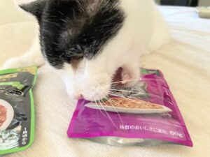 3匹のシニア猫たちのおすすめにならない猫パウチ「カルカン」レビュー