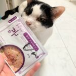 猫らにも広い世界を見せたくて…韓国キャットフード土産