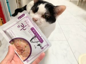猫らにも広い世界を見せたくて…韓国キャットフード土産