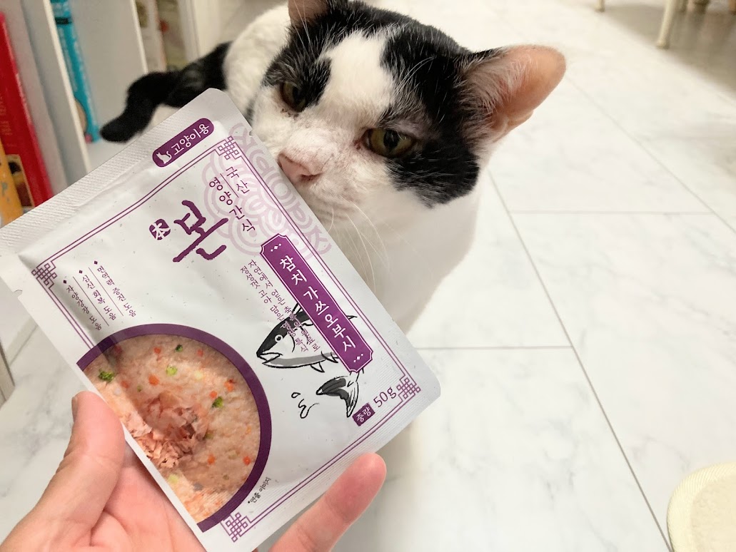 猫らにも広い世界を見せたくて…韓国キャットフード土産