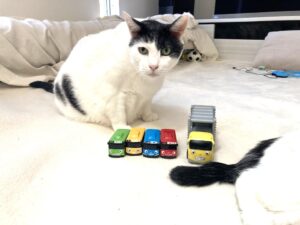 「猫のいる我が家に帰るまでが旅行です」3歳児との海外2人旅