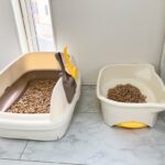 猫トイレを洗う頻度は？月1以上で丸洗いしたくなった理由を実体験で紹介