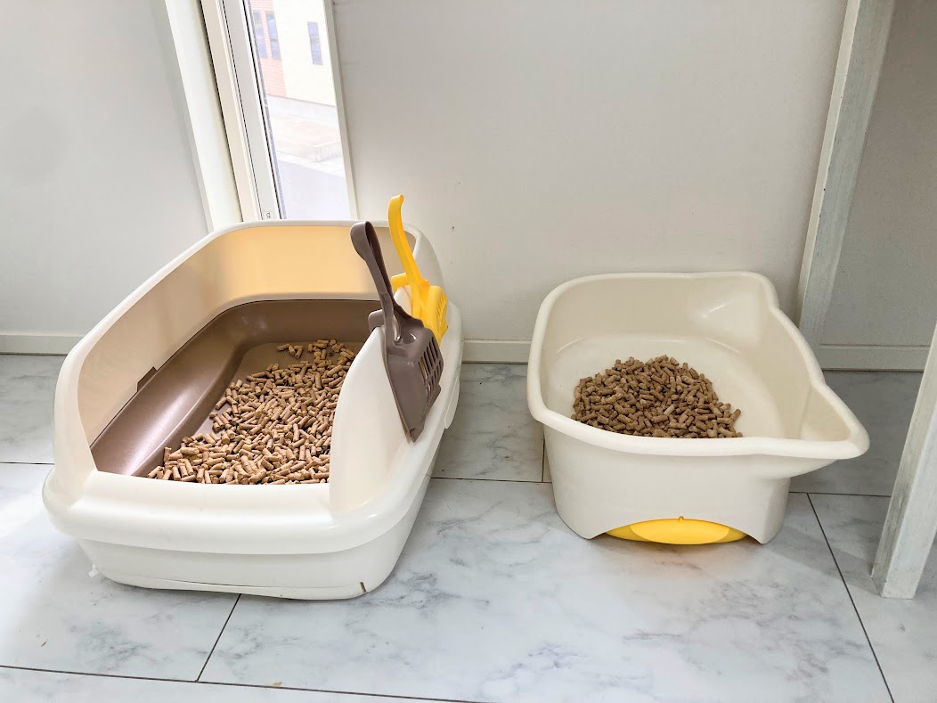 猫トイレを洗う頻度は？月1以上で丸洗いしたくなった理由を実体験で紹介