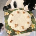 先延ばししていた家事を今日片づけたら気持ちが軽くなった話｜体験談