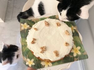 先延ばししていた家事を今日片づけたら気持ちが軽くなった話｜体験談