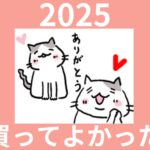 本当に使うものだけ！保育園送迎と猫との暮らしに役立ったモノ8選【2025年】