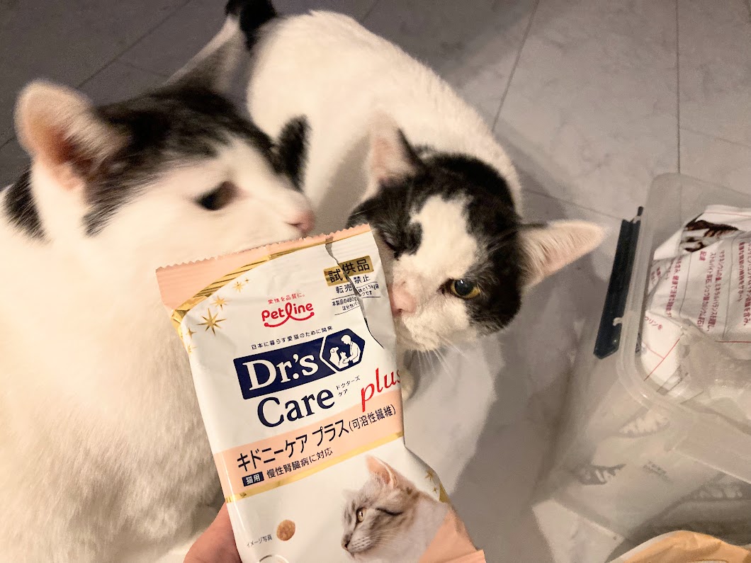 【シニア猫の体調記録】尿比重が低め?肛門腺トラブル?もなかの経過と、回復までの記録