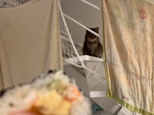 節分の傘地蔵～預かりっこから幸せになったてぶちゃん～