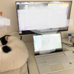 パート主婦でもアドセンス＆アフィリエイトで月1万円稼げたブログ副業の裏側