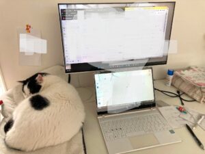 パート主婦でもアドセンス＆アフィリエイトで月1万円稼げたブログ副業の裏側