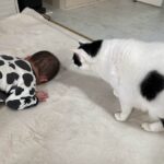 0歳から保育園に預けても大丈夫？我が家の4歳児の成長体験