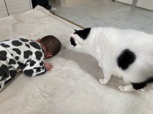 0歳から保育園に預けても大丈夫？我が家の4歳児の成長体験