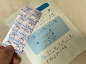 シニア猫もなかの謎の便秘・嘔吐とプロナミド