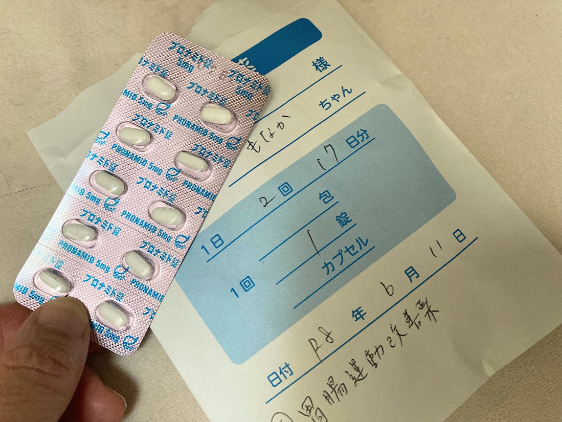シニア猫もなかの謎の便秘・嘔吐とプロナミド