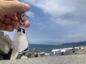 ペットロス｜参考になった動画・本・言葉たち