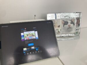 ペットロスの過ごし方｜悲しいとき、ラジオに救われた話